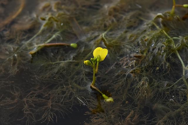 小心违法！遇见这些“兔兔”，千万注意！