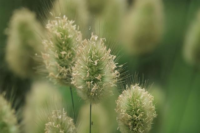 小心违法！遇见这些“兔兔”，千万注意！