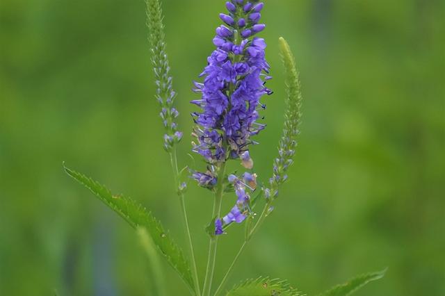 小心违法！遇见这些“兔兔”，千万注意！